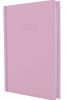 Ежедневник датированный 2026 Economix SATIN А5