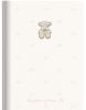 Ежедневник датированный 2027 Axent Partner Elegance Dream Plan Do A5