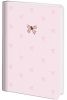 Щоденник датований 2027 Axent Partner Elegance Pink mood A5 