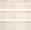 Еженедельник А6 Leo Planner 2026 Story винный