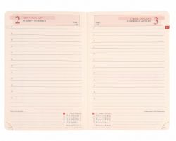 Ежедневник А5 Leo Planner 2027 Status коричневый