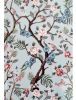 Книга записная А4 Axent Birds&Flowers в клетку