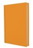 Ежедневник недатированный ECONOMIX SATIN A5