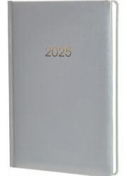 Ежедневник датированный 2024 Economix Spectrum
